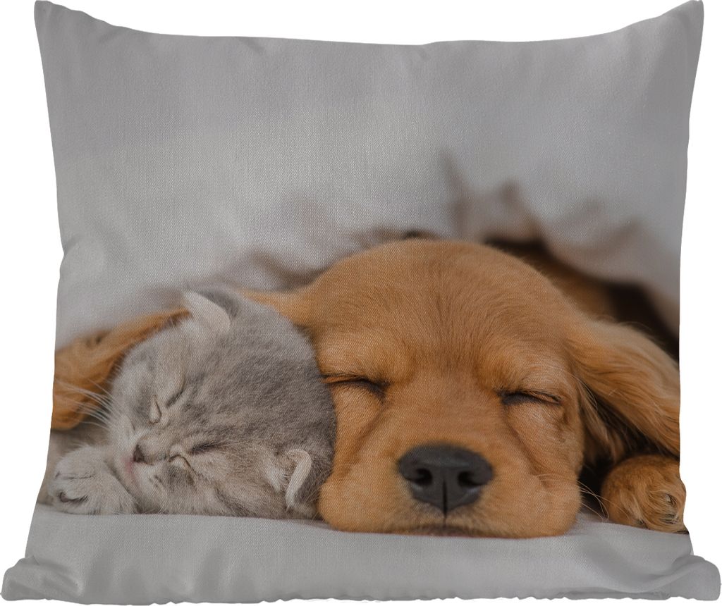 MuchoWow Outdoor Kissen - Haustiere - Hund - Katze - Decke - 60x60 cm - Wetterfest - Lounge Kissen - Dekoration - Schlaf Kissen