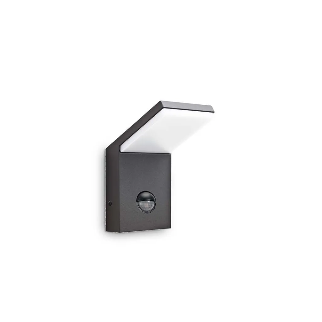 Luminaire Extérieur LED Automatique Anthracite pour Entrée et Garage
