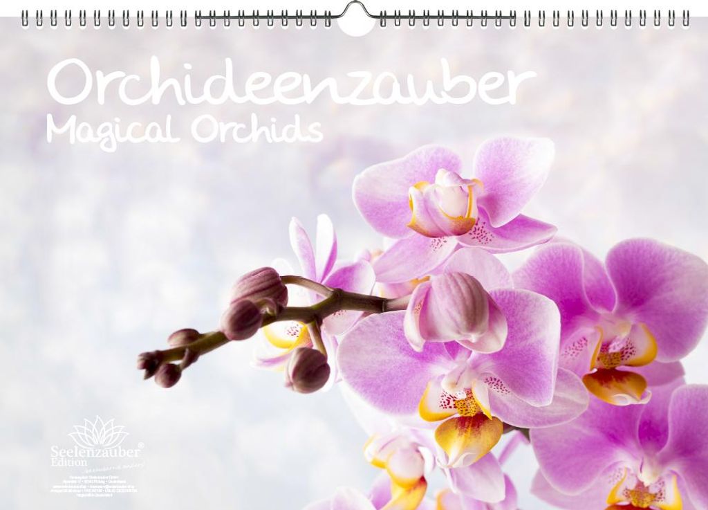 Orchideenzauber Immerwährender Kalender DIN A3 Orchideen und Blüten - Seelenzauber