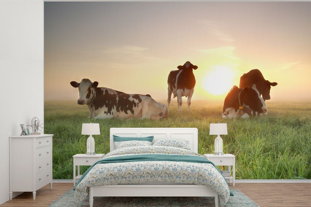 MuchoWow Fototapete für Wohnzimmer oder Schlafzimmer Wandtapete Vinyl Motivtapete Kuh - Sonne - Gras - 450x300 cm - Gemusterte