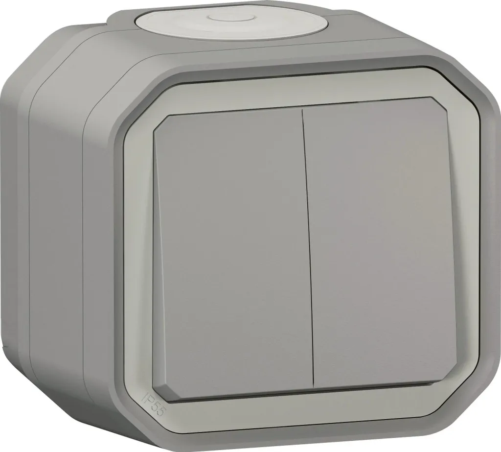 Legrand Interrupteur Double 10AX et Bouton-Poussoir IP55 IK08 Gris