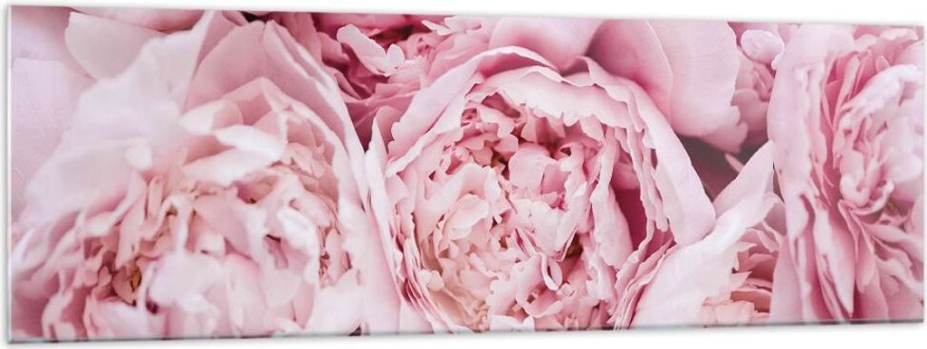 Bilder auf glas - Einteilig - Blumenstrauß Blumen Rosa - 160x50cm - Glasbilder - Wandbilder - Bilder - zum Aufhängen bereit - Wanddekoration aus ...