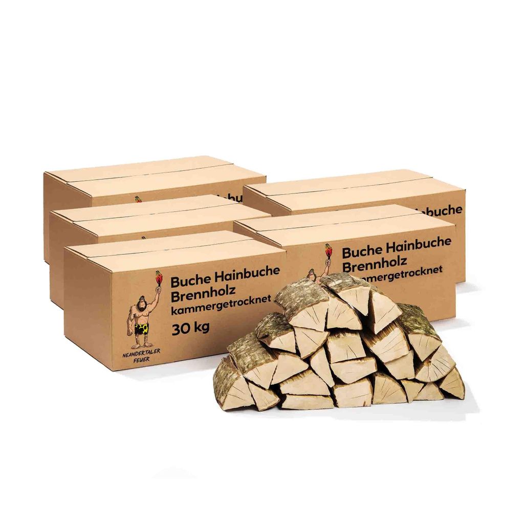 Neandertaler Feuer Brennholz Buche Kaminholz - Buchenholz Grillholz 25 cm 150 kg | Hartholz Feuerholz | Holz für Grill Kamin Smoker Ofen | Firewood