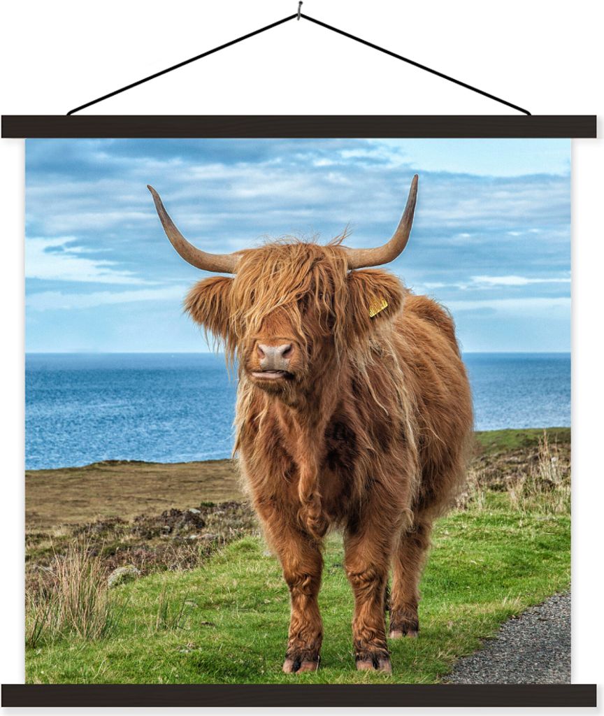 MuchoWow Textilposter Schottisches Hochlandrind - Wasser - Hörner 90x90 cm mit schwarzem Rahmen - Magnetisches