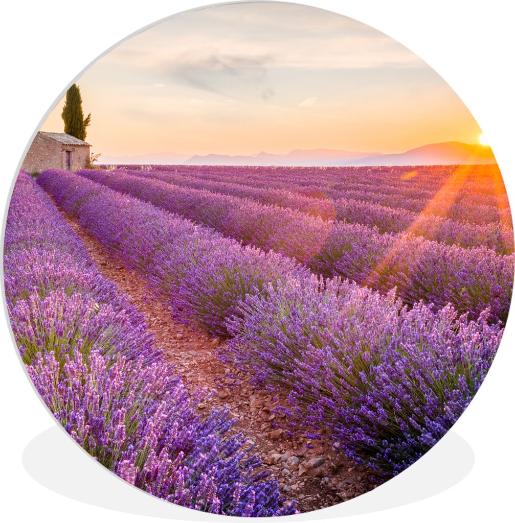 MuchoWow Rundes Wandbild - Runde Bilder Lavendel - Sonnenuntergang - Blumen - Lila Ø 30 cm Kreis Wanddekoration Kunststoff - Wandkreis - Wandsch...