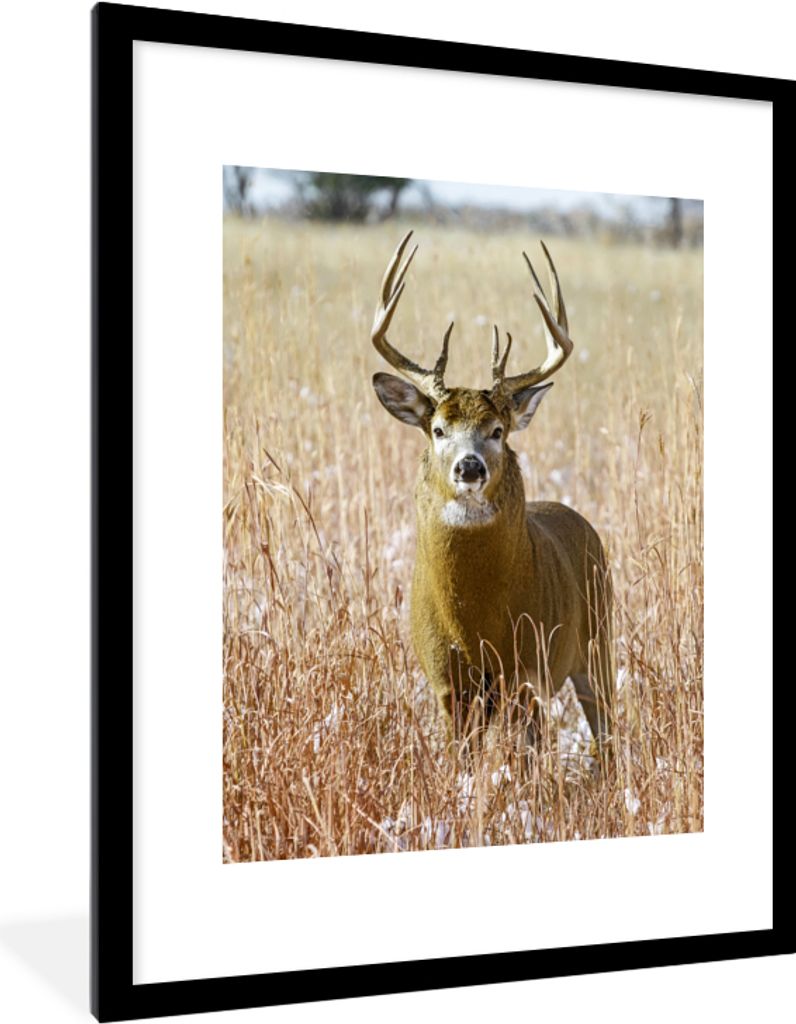 MuchoWow MuchoWow Gerahmtes Poster Hirsche - Gras - Herbst - Tiere - Natur - Geweih 60x80 cm - Poster mit zchwarzem Bilderrahmen - Wohnzimmer -...