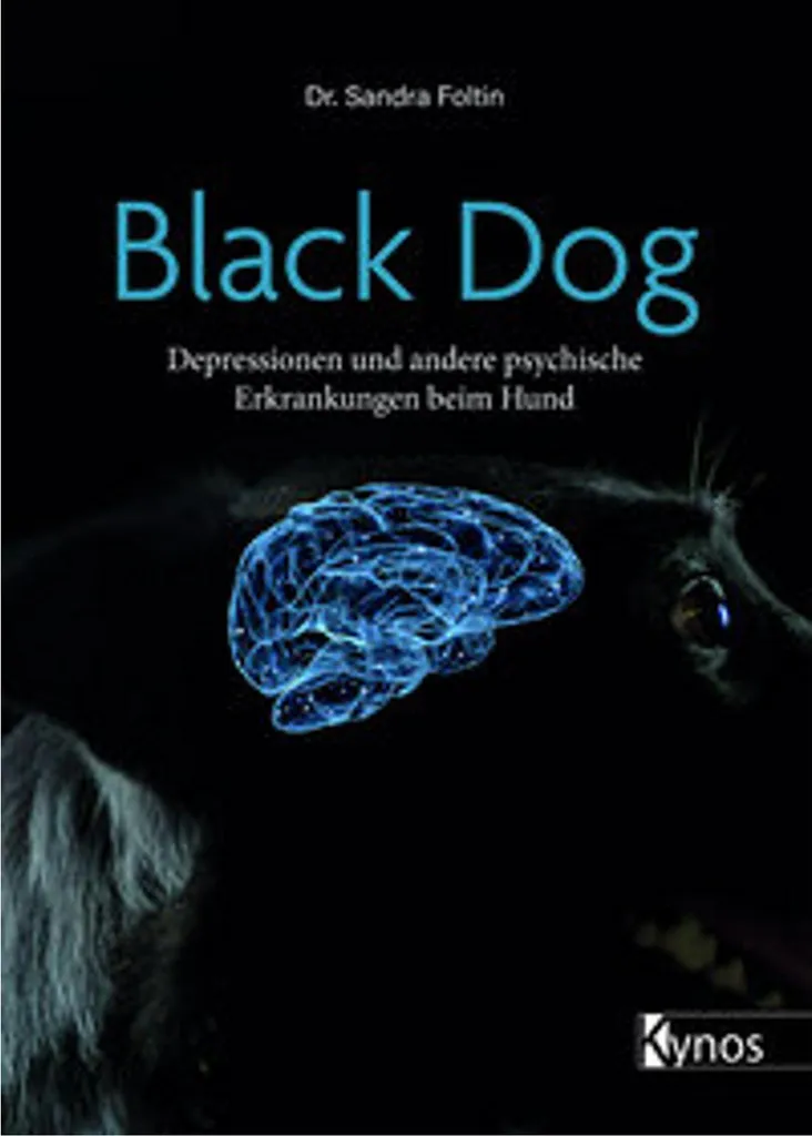 Black Dog - Équipement premium pour chien | Harnais de sécurité durable