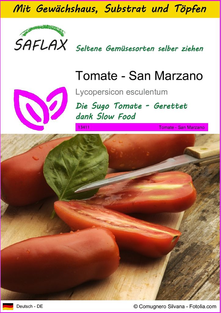 SAFLAX Anzucht Set - Tomate - San Marzano - Lycopersicon esculentum - 10 Samen - Mit Mini-Gewächshaus, Anzuchtsubstrat und 2 Töpfen
