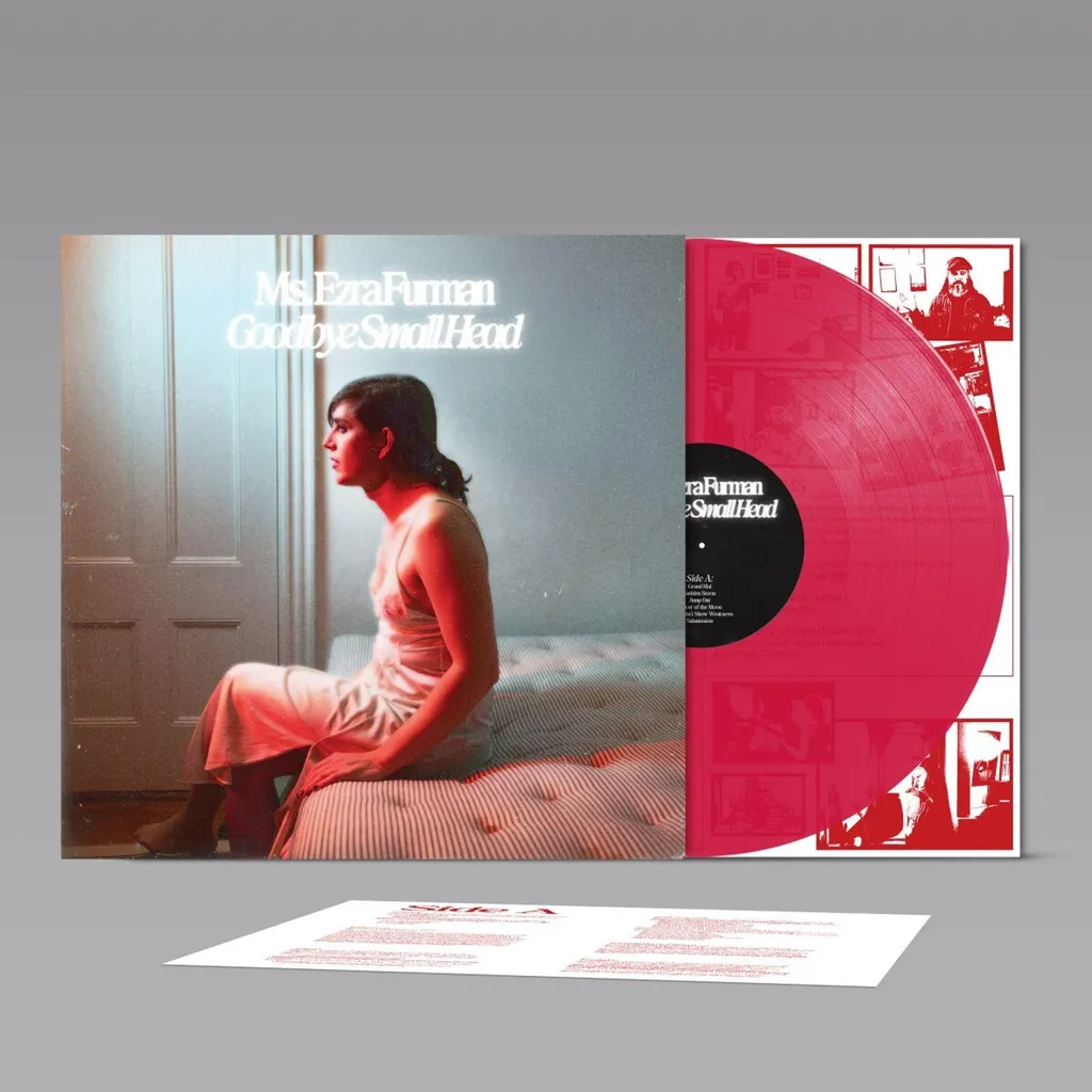 Vinyle Musique Ezra Furman Goodbye Small Head pour Platine Salon LP