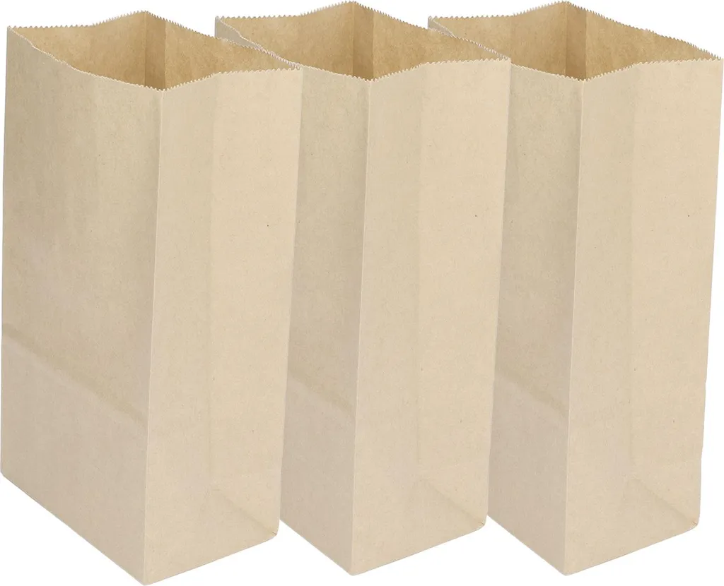 Sacs Kraft Indéchirables : Finissez-en avec les Sacs qui Craquent - 100 pcs