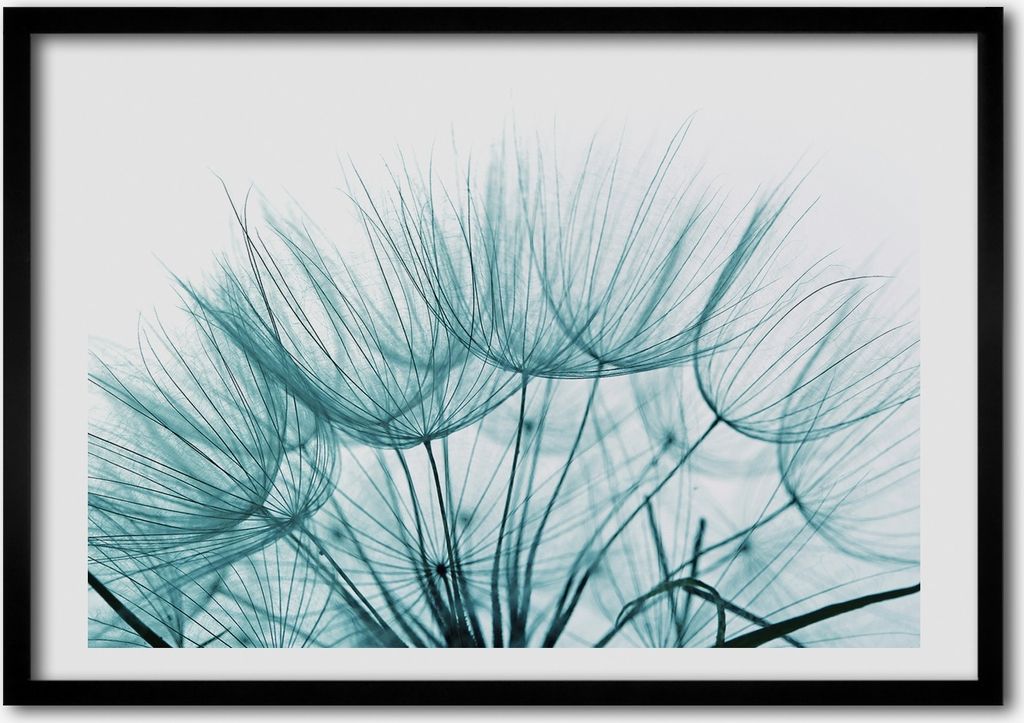 Bild - Bilderrahmen - 100 cm x 70 cm - MDF - Rahmen - Foto - Wandkunst Löwenzahn Samen