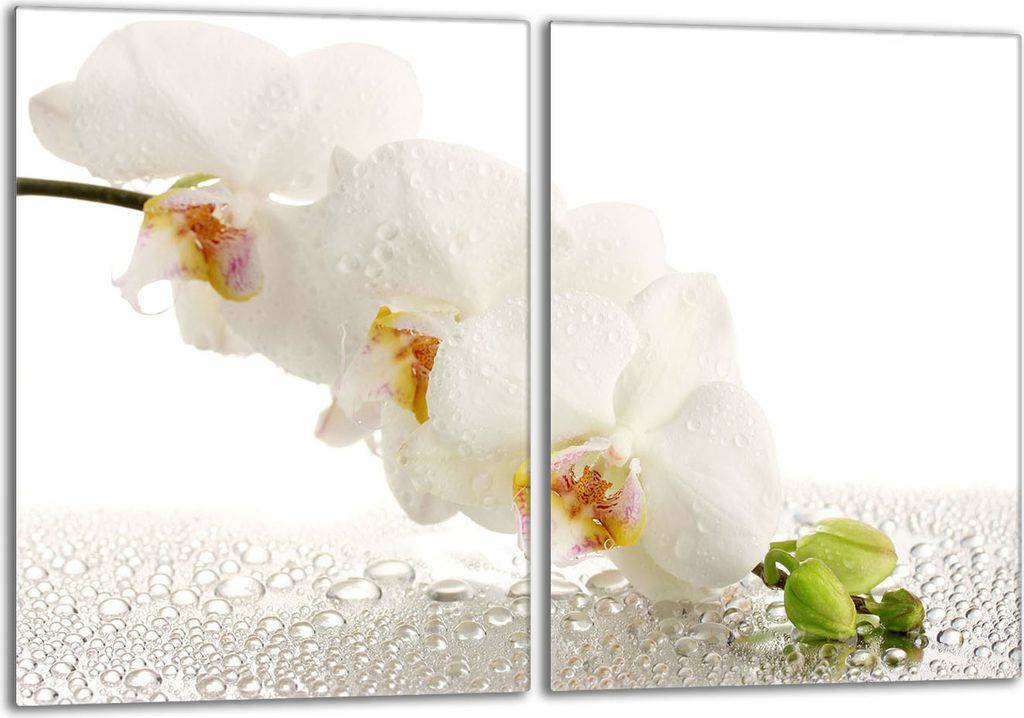 Glasschutzplatte für den Herd 2x40x52 Orchidea