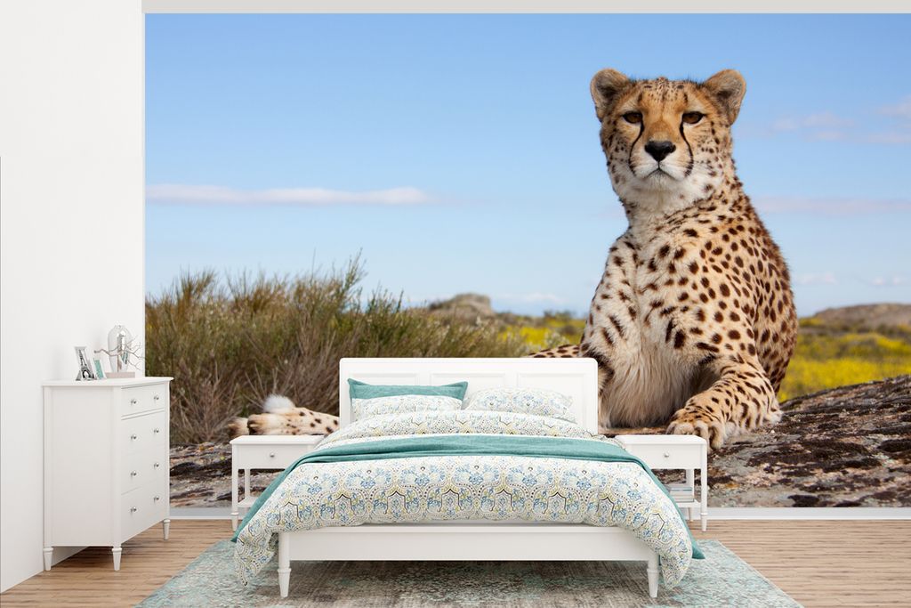 MuchoWow Fototapete für Wohnzimmer oder Schlafzimmer Wandtapete Vinyl Motivtapete Leopard - Tiere - Natur - 345x220 cm - Wohnzimmertapete