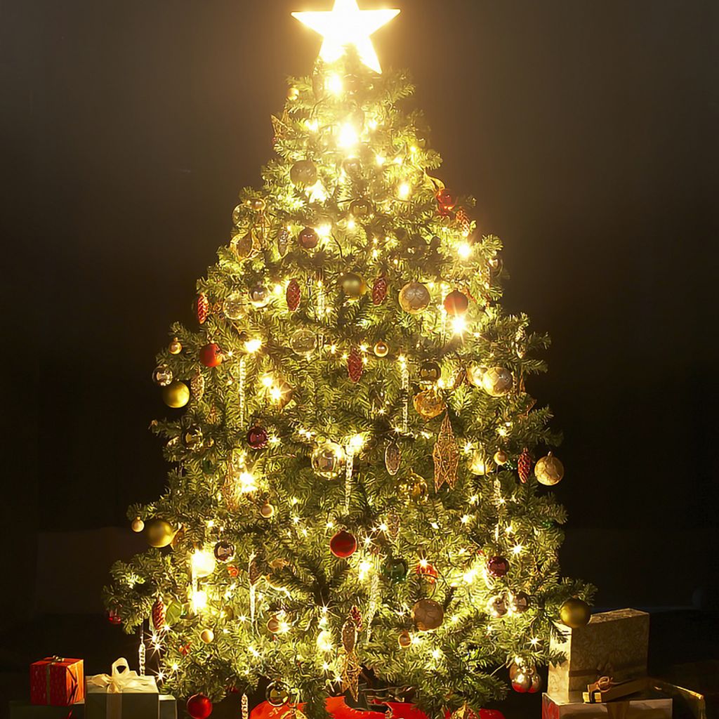 Jopassy Weihnachtsbaum mit warmweißen | Kaufland.de