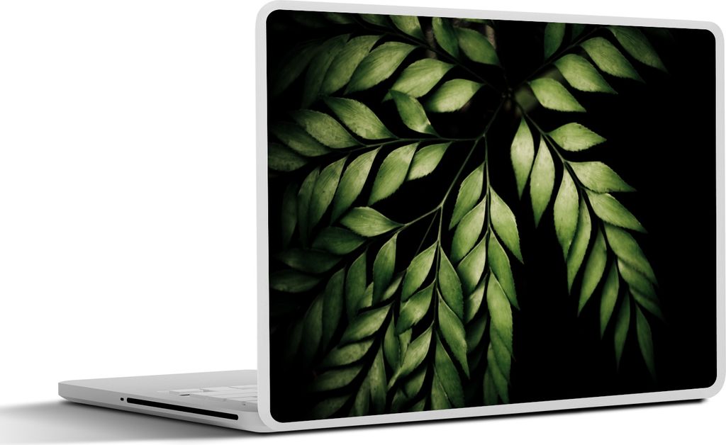 MuchoWow Laptop Aufkleber Sticker Cover Die Zweige eines Farns vor einem schwarzen Hintergrund 30x21 cm - Sticker für Laptop - Selbstklebend