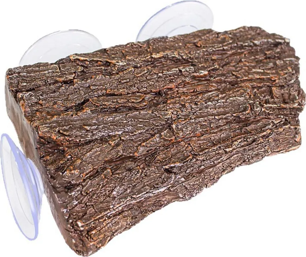 Zone de Bronzage pour Tortue Aquatique - Accessoire Aquaterrarium 21cm