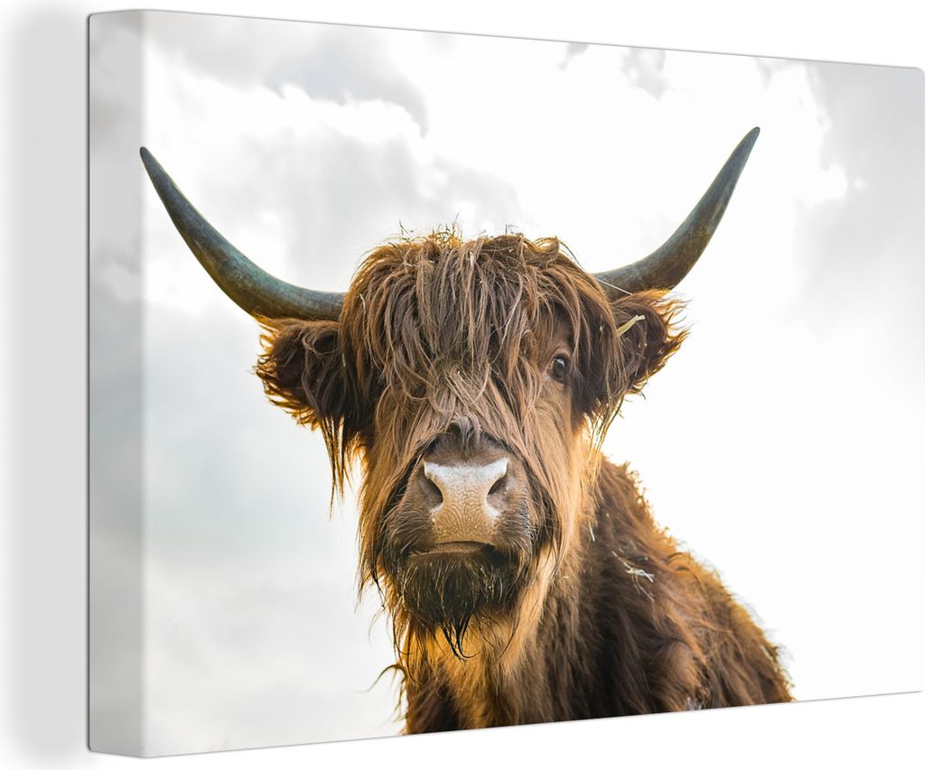 OneMillionCanvasses - Leinwandbilder - 140x90 cm, Schottisches Hochlandrind - Haare - Himmel, Wandbilder Kunstdruck Wanddekoration