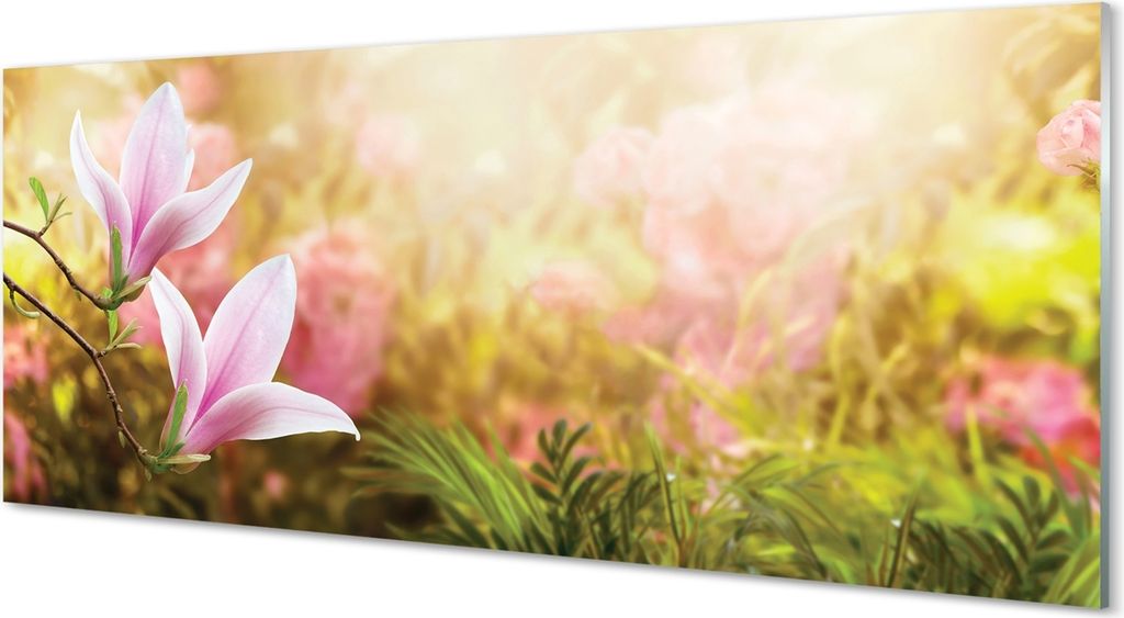 Glasbilder 125x50 Wandkunst Magnolia Baum Sonne Produktbild 