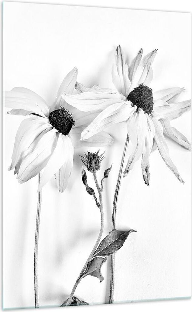Bilder auf glas - Einteilig - Verwelkt Blumen Monochrom - 70x100cm - Glasbilder - Wandbilder - Bilder - Wanddekoration aus Glas - Glas Bilder - Wan...
