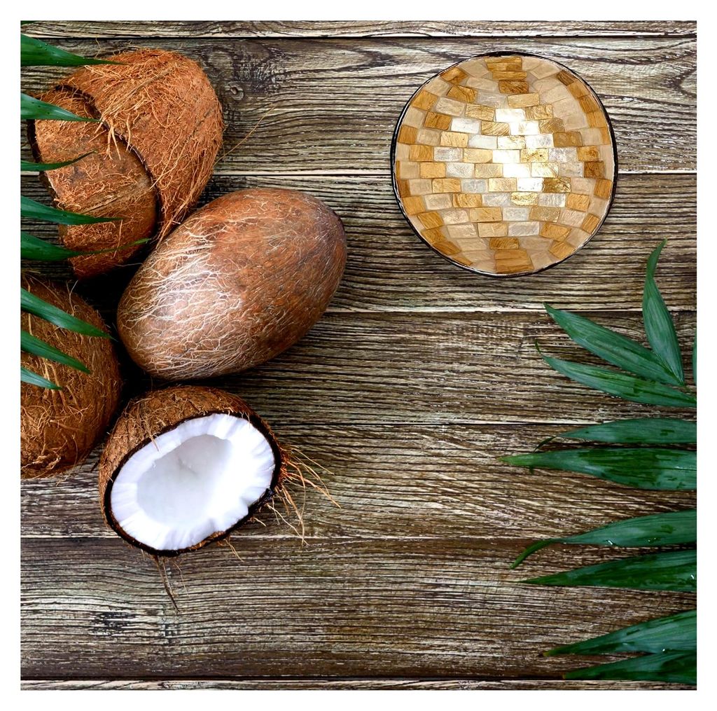 Dekoschale aus Kokosnuss und Perlmutt - Moderne Schüssel für Schlüssel, Schmuck und Snacks