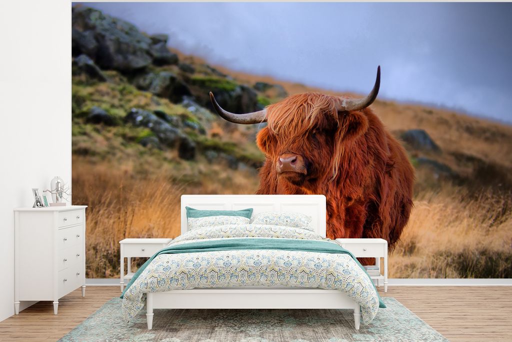 MuchoWow Fototapete für Wohnzimmer oder Schlafzimmer Wandtapete Vinyl Motivtapete Schottische Highlander - Gras - Steine - 375x280 cm - Schlafzi...