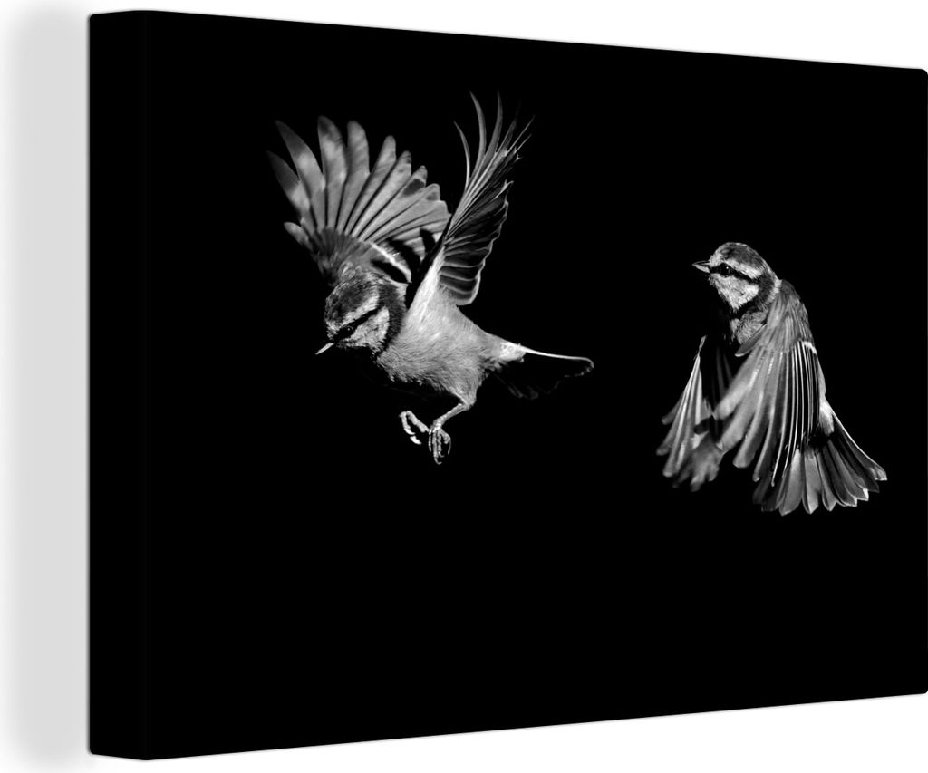 OneMillionCanvasses - Leinwandbilder - 140x90 cm, Zwei Vögel auf schwarzem Hintergrund - schwarz und weiß, Wandbilder Kunstdruck Wanddekoration