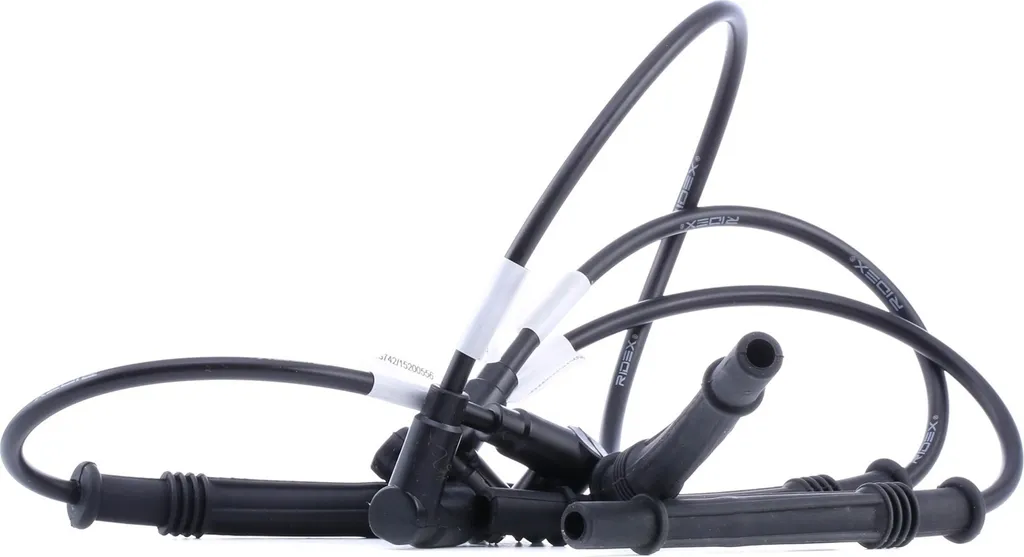 Cambia i Cavi Candele Renault Twingo Clio Kangoo - Kit RIDEX 685I0168