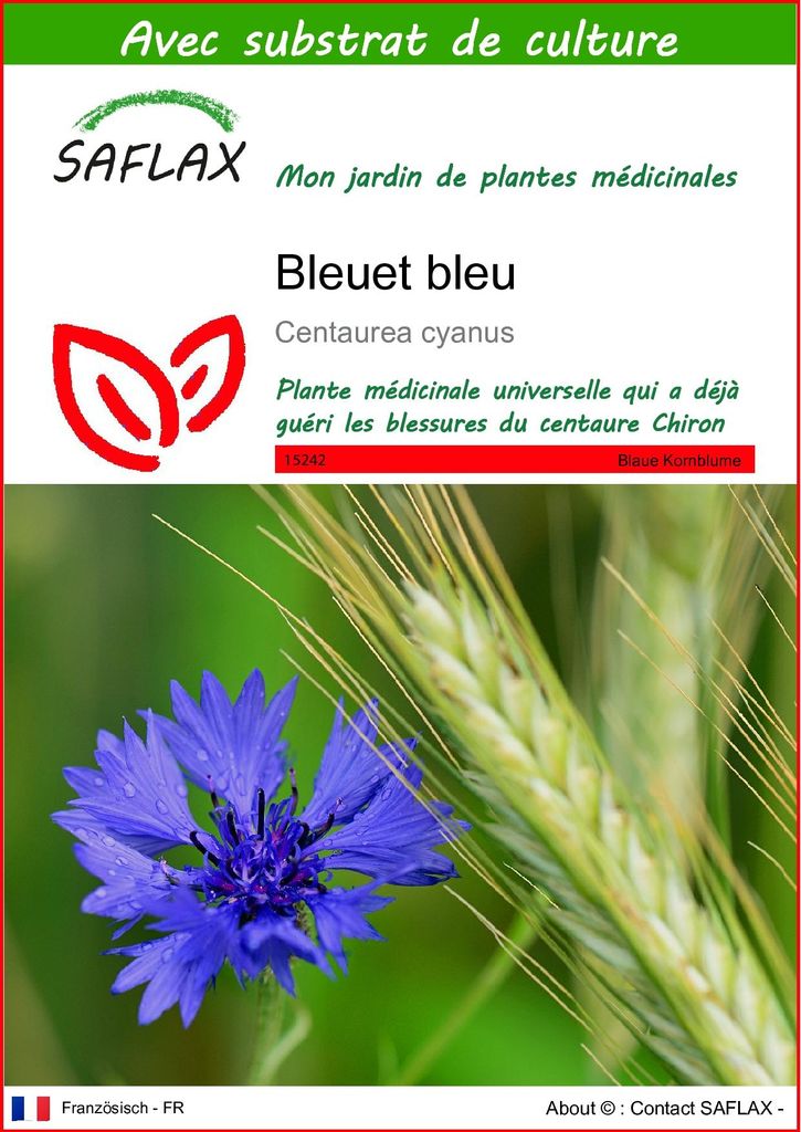 SAFLAX  - Bleuet bleu - 27000 graines - Avec substrat - Image du produit 