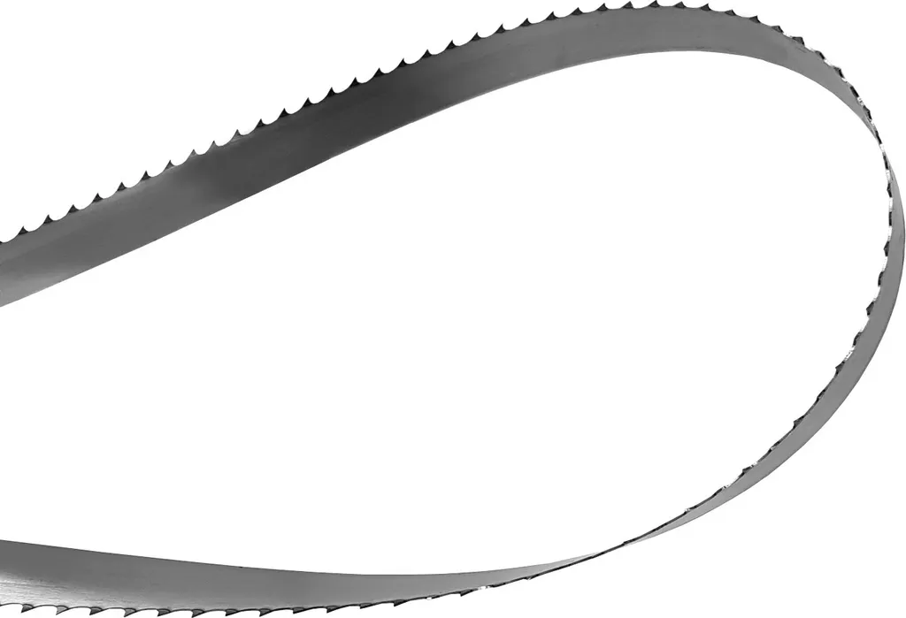 VERTES 2x Lames de Scie à Os Électrique 1650mm en Acier Inoxydable