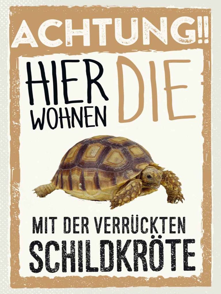 vianmo Holzschild 40x30 cm Tiere Achtung hier kröte Tier Haustier