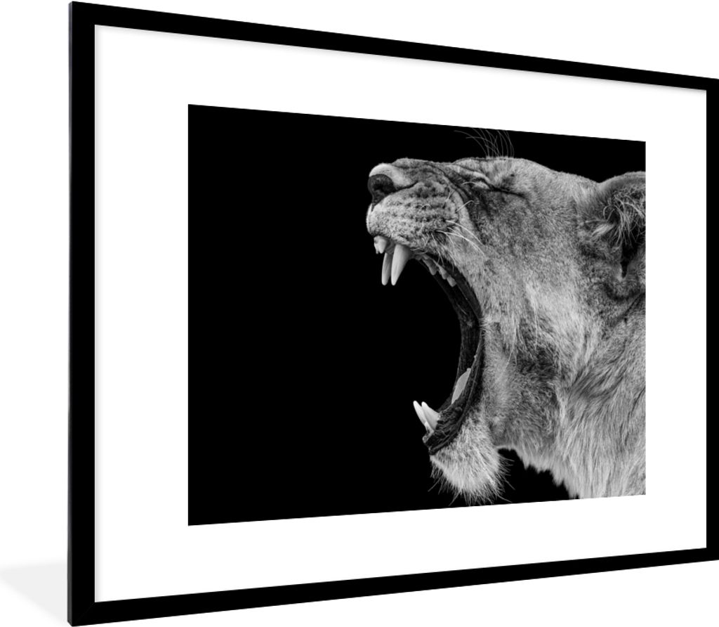 MuchoWow® Gerahmtes Poster Tiere - Löwe - Schwarz - Weiß - Produktbild 