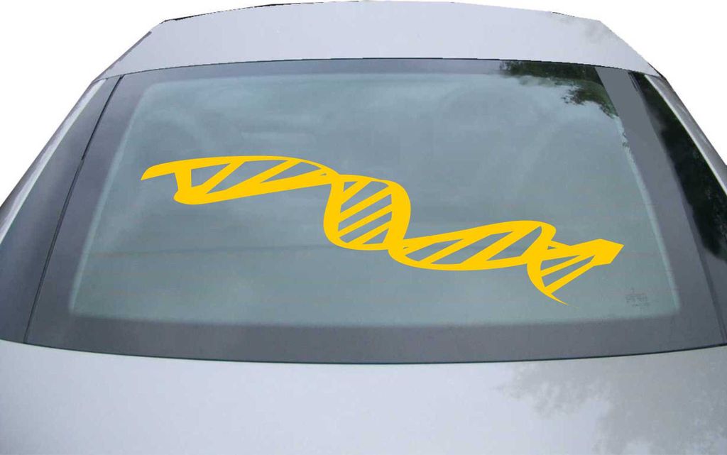Indigos UG - Aufkleber Heckscheibe & Motorklappe DE6972 - gold - 600x189 mm - Strang DNS - Auto Scheiben Fenster Heckklappe Tuning Racing JDM - Die...