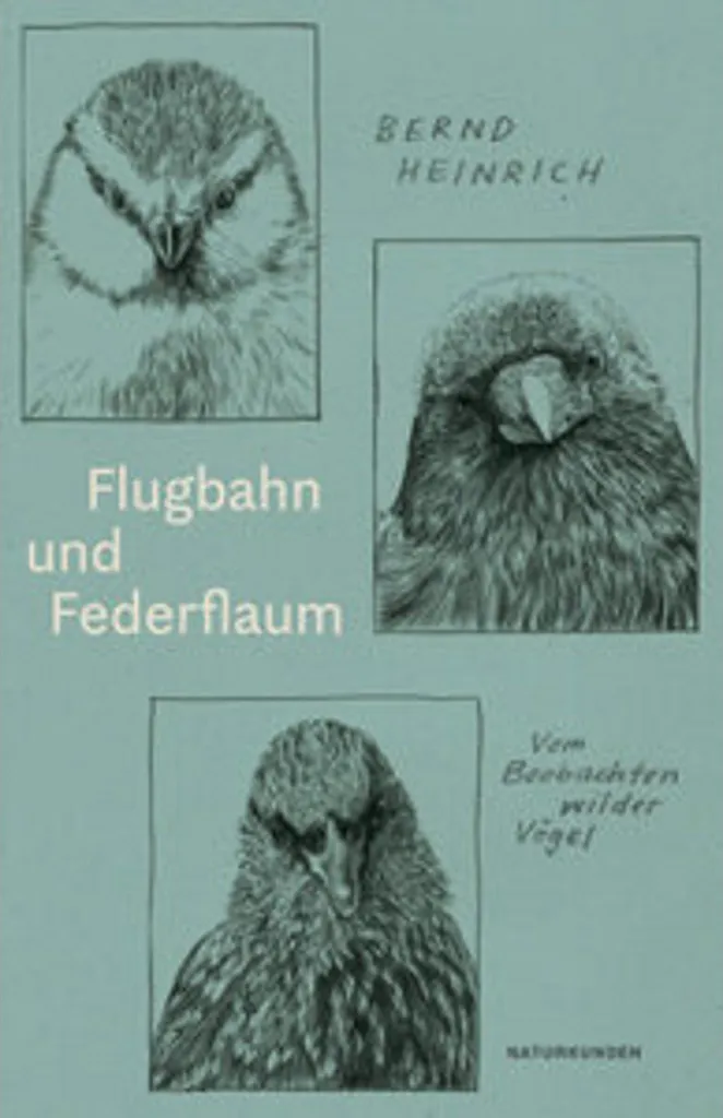 Album photos ornithologique Flugbahn und Federflaum grand format rigide