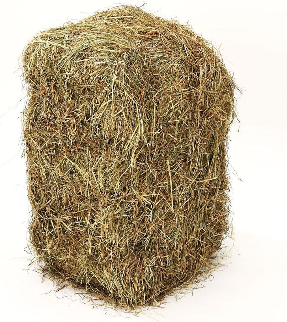 Dehner Wiesenheuballen, 10 kg Produktbild 