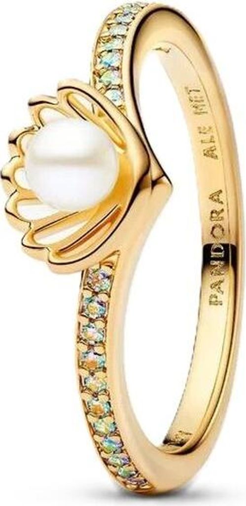 Damenring Pandora 163654C01-52 Gold