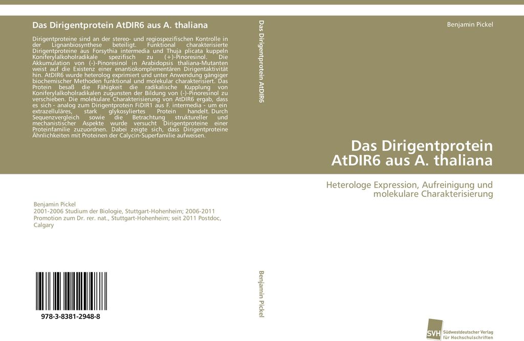 Das Dirigentprotein AtDIR6 aus A. thaliana