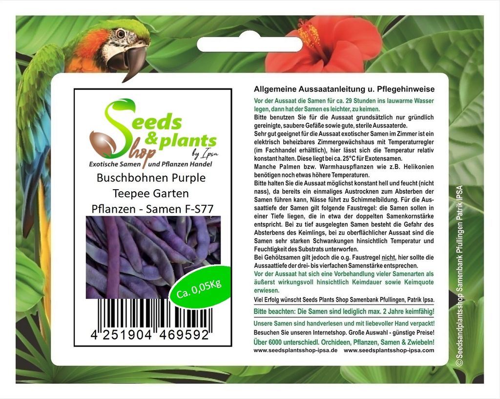 50 g Buschbohnen Purple Teepee Garten Pflanzen - Samen F-S77