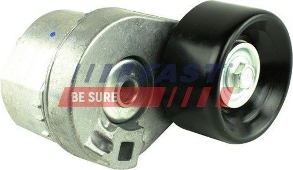 FAST FT44615 - OE 1096484 Spannrolle, Keilrippenriemen für Transit