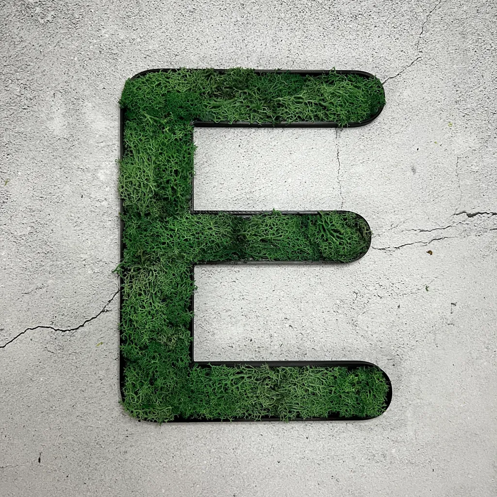 Muschio d'Islanda - Set HEY verde erba - 5