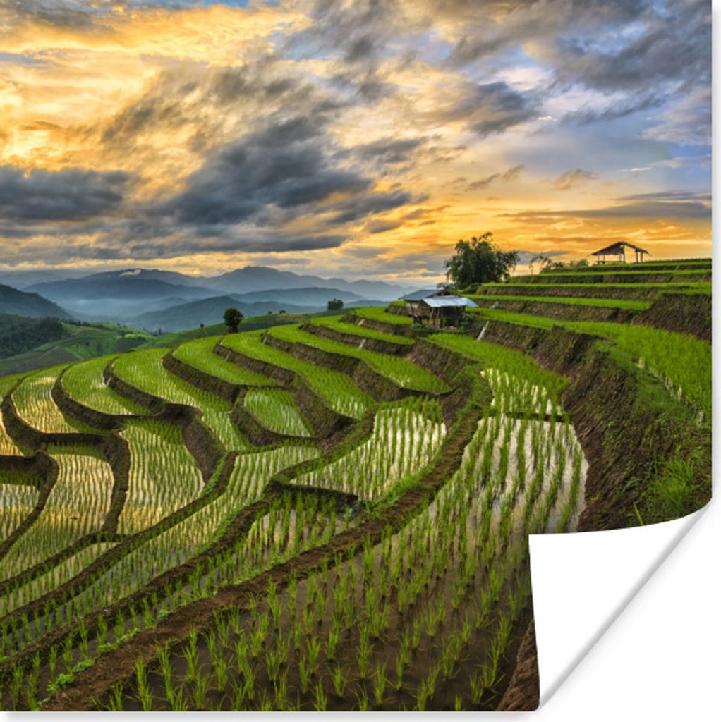 MuchoWow Poster Ein schönes Wolkenfeld über den Reisfeldern Thailands 30x30 cm - Wandposter - Printing