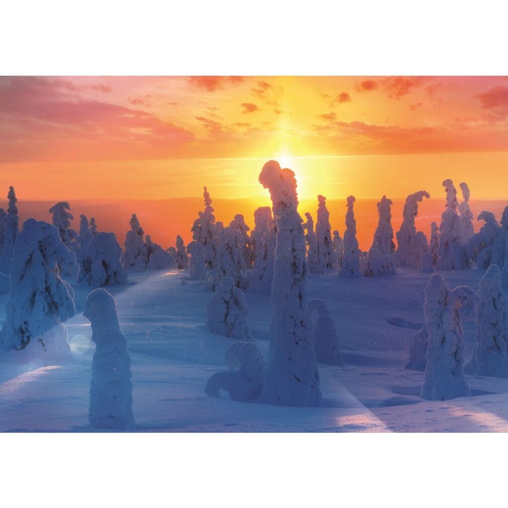 TREFL Finnische Natur Puzzle 1000 Teile
