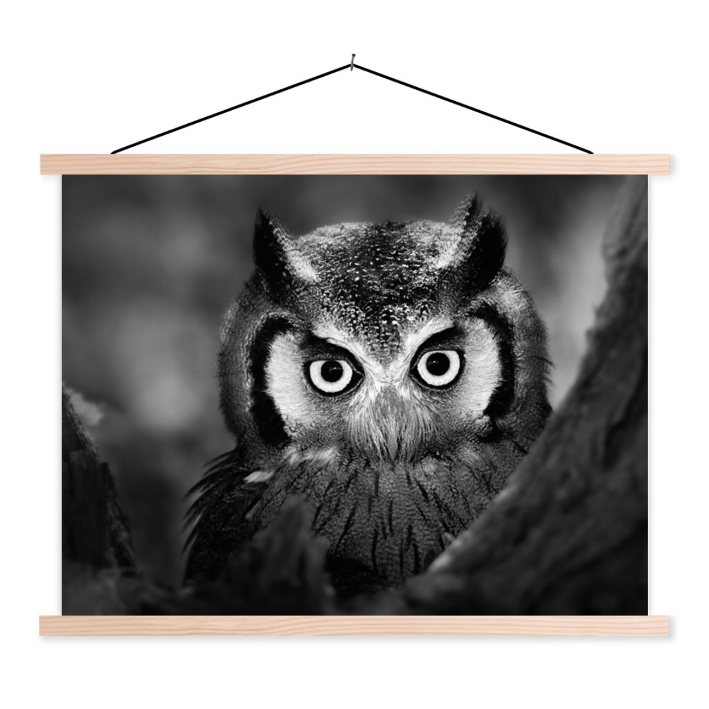 MuchoWow Textilposter Vogel - Eule - Porträt - Schwarz - Weiß 120x90 cm mit holzfarbenen Rahmen - Magnetisch