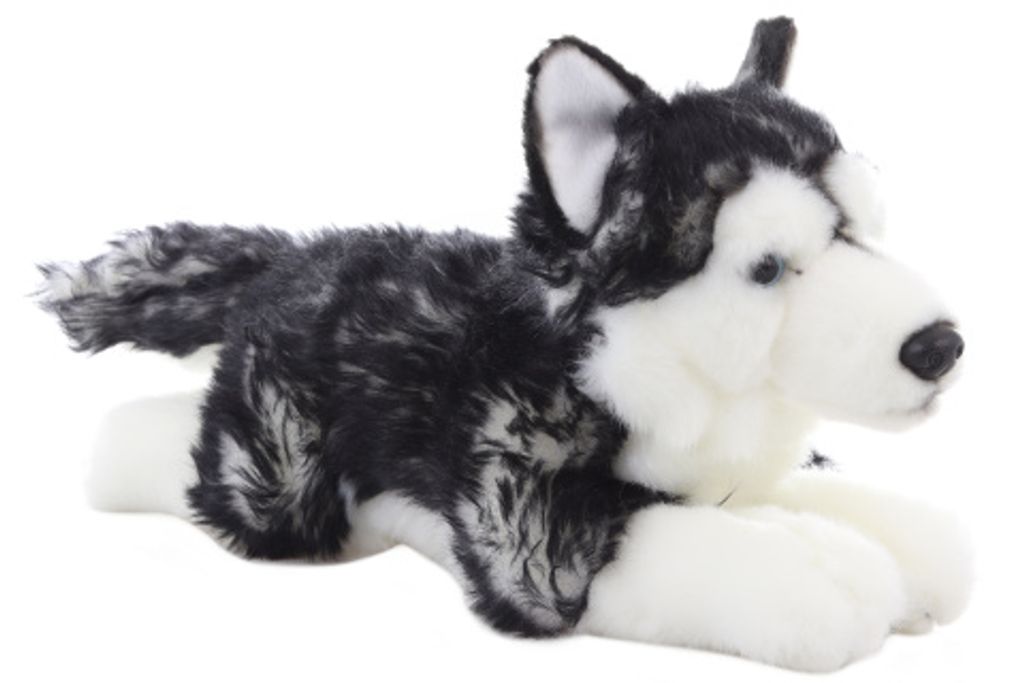 Peluche Husky sdraiato 35 cm Immagine del prodotto 