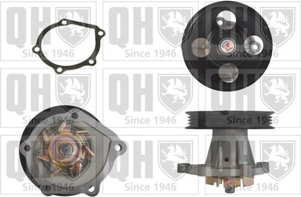 QUINTON HAZELL Kühlmittelpumpe Wasserpumpe für TOYOTA STARLET (EP91) QCP3244