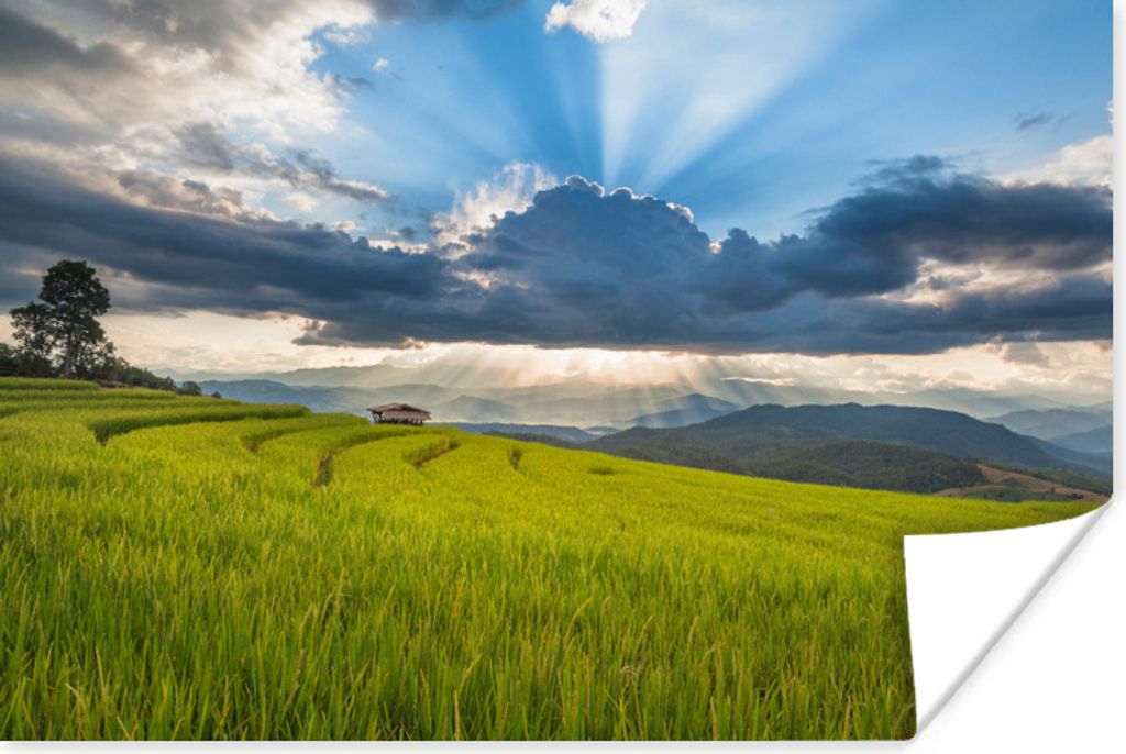 MuchoWow Poster Sonnenstrahlen bei Sonnenuntergang über dem Reisfeld in Chiang Mai 60x40 cm - Schlafzimmerdekoration