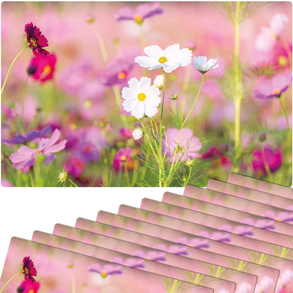 Abwaschbare Tischsets 12er Set Blumen-Wiese pink weiß Produktbild 