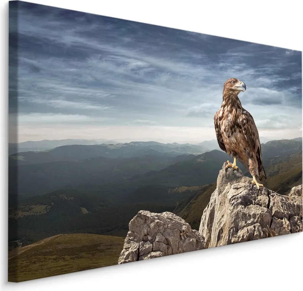 Favolosa tela PICTURES 120x80 cm XXL stampa d'arte montagne paesaggio aquila