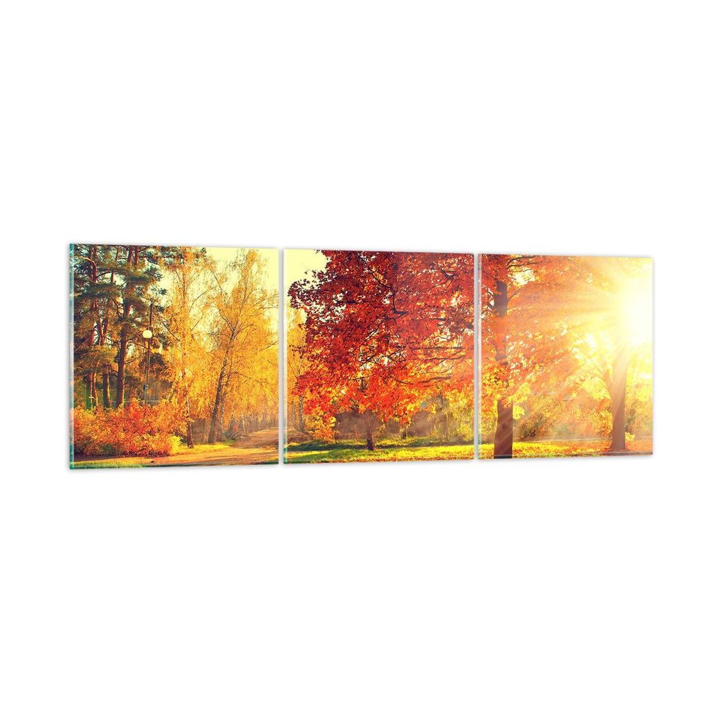 Bilder auf glas - Park Herbst Baum - 150x50cm - Glasbilder - Wandbilder - Kunstdruck - zum Aufhängen bereit - Wanddekoration aus Glas - Glas Bilde...