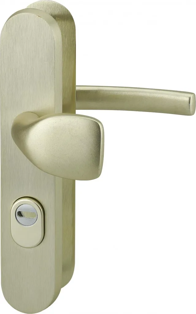 Poignée palière Thirard entraxe 216mm couleur F2 anti-anti-intrusion