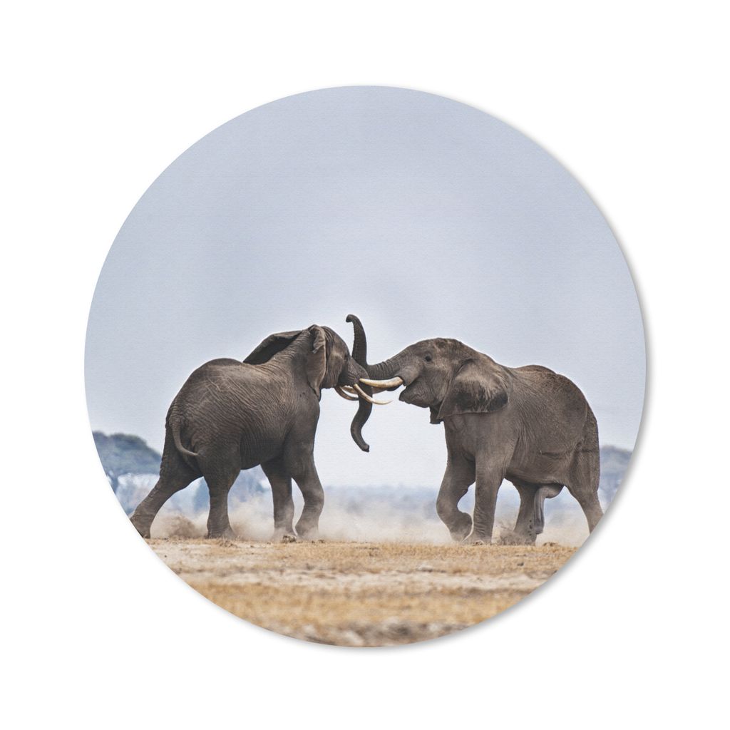 MuchoWow Mauspad Mousepad Elefant - Tiere - Flachland - Natur 40x40 cm - Mousepads - Maus Mat - Pad - Mausunterlage - Schreibtisch Accessoires